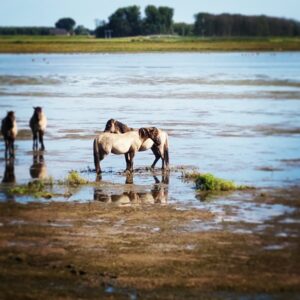 IMG_20160815_222821